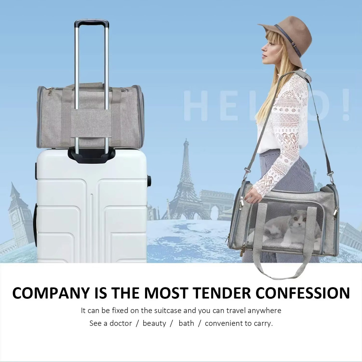 Portable Mesh Shoulder Bag for Pets Cat Carrier Bags Outgoing Travel Pets Handbag Transport Bag Breathable