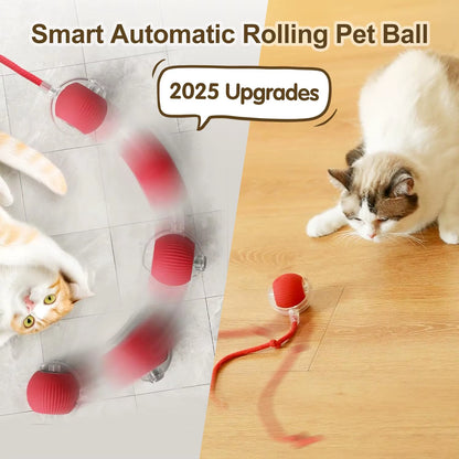 New Cat Interactive Ball Toy Automatic Rolling Ball Faux Tail Rechargeable Smart Pet Electric Toy Dog Cat Training Imitate Mouse